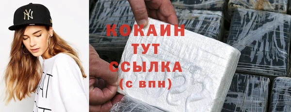 дживик Алзамай